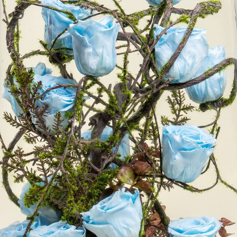 Preserved Roses in Wooden Base – Eternal Floral Décor