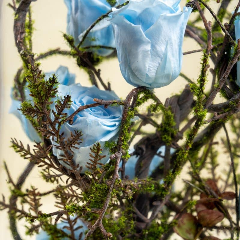Preserved Roses in Wooden Base – Eternal Floral Décor