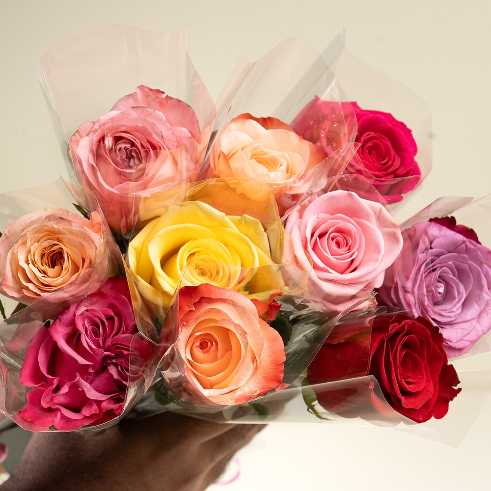Ten Mixed Color Single Roses Flower in Qatar Plaza Hollandi