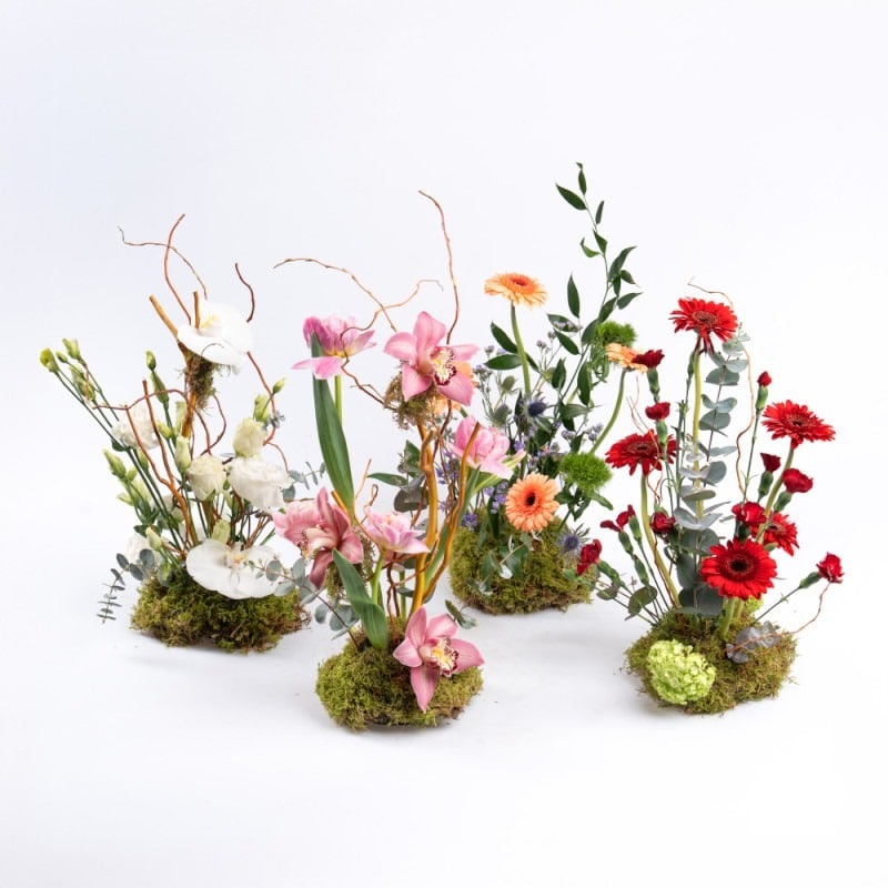 Moss Set of 4 Moss Flower Arrangements – Tulips, Gerbera, Cymbidium & Phalaenopsis