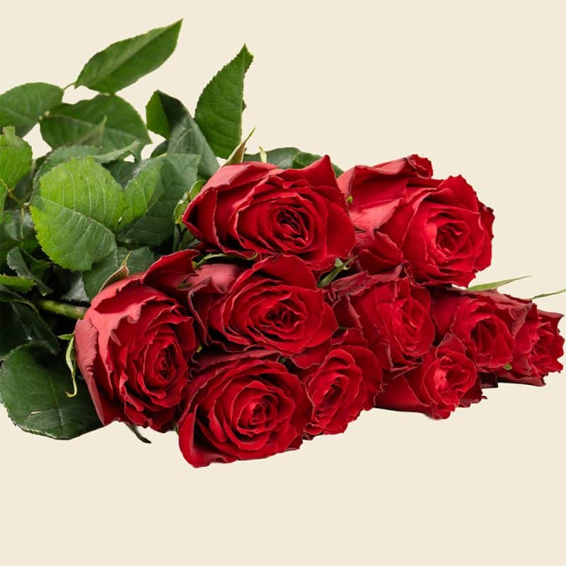10 Red Roses Bunch