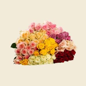 80 Mixed Roses Bunch