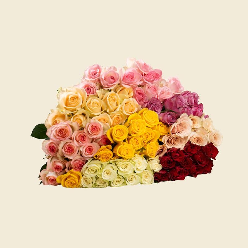80 Mixed Roses Bunch