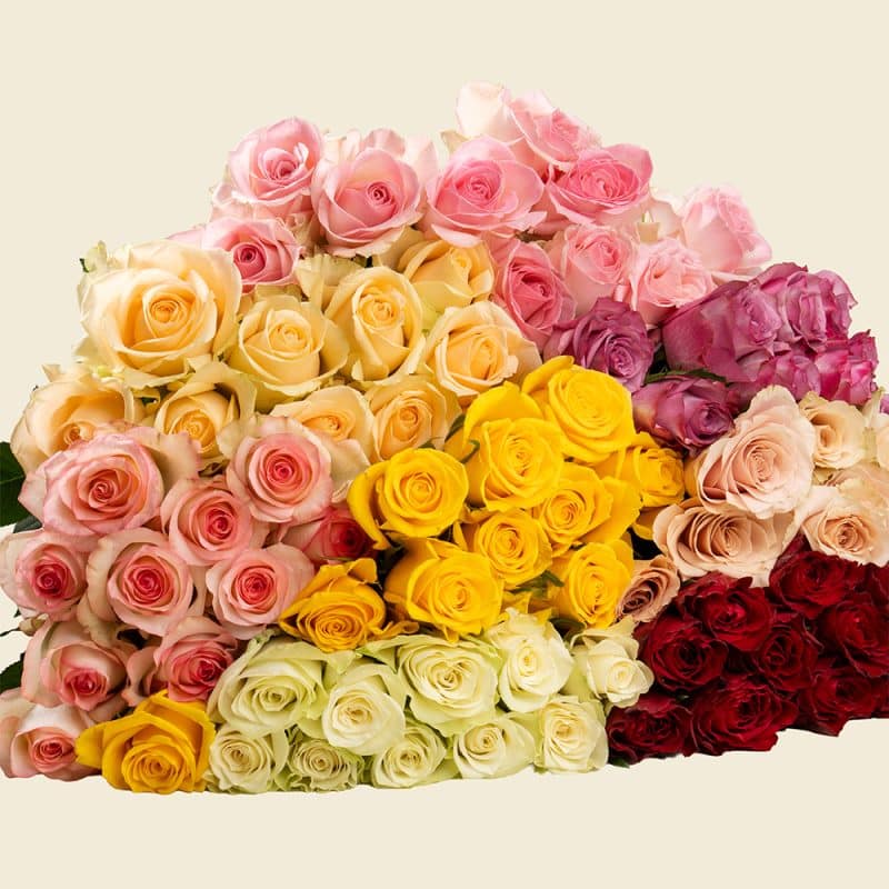 80 Mixed Roses Bunch – Vibrant Fresh Bouquet for Grand Celebrations & Special Occasions