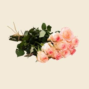 10 Double Pink Roses Bunch
