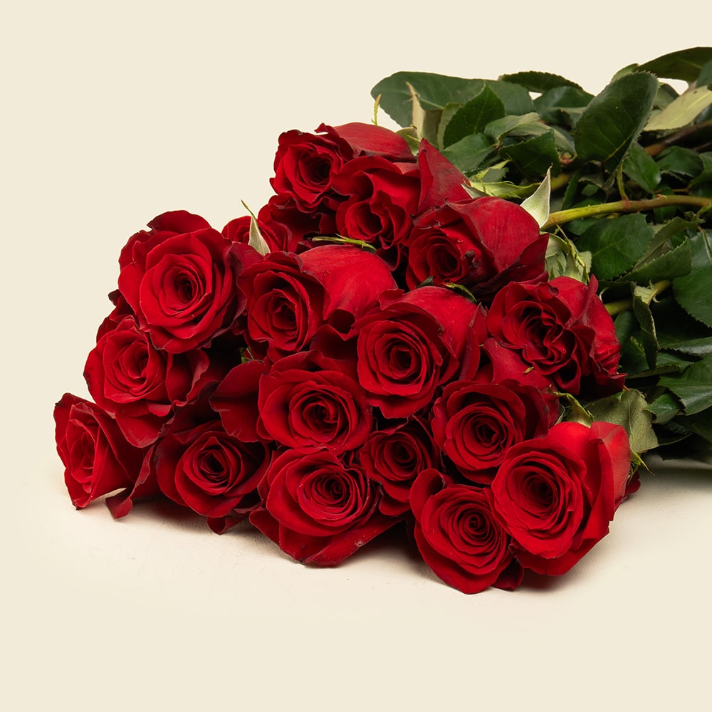 Flower Trends for 2023 16 25 Red Roses Bunch