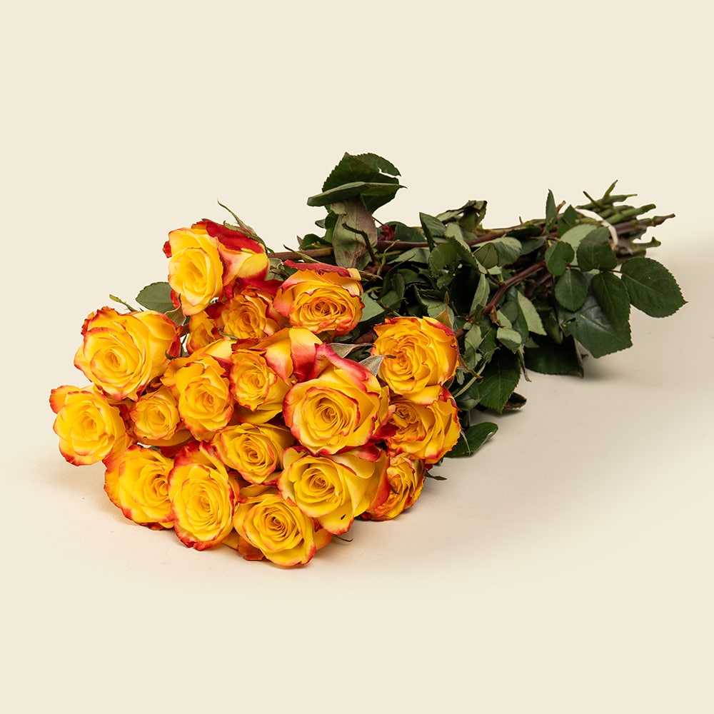 Flower Trends for 2023 15 25 Yellow with Red Roses Bunch