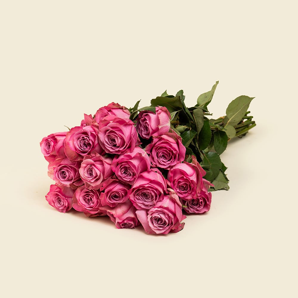 7 25 Deep Purple Roses Bunch