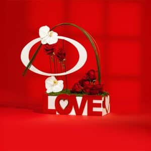 valentines-salix-frame-rose-phalaenopsis-box