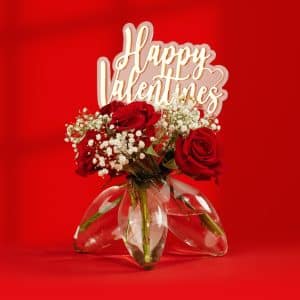 Romantic Vase Arrangement with Red Roses & Gypsophila