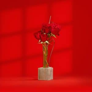 wood-base-5-red-roses
