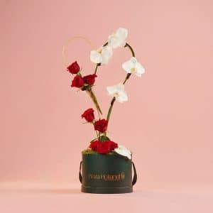 Heart-Shaped Plaza Hollandi Box with Roses & Phalaenopsis