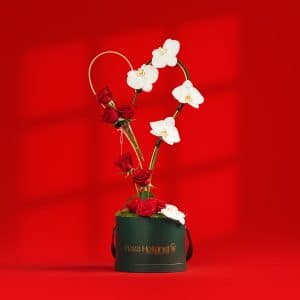 heart-shape-plaza-hollandi-box-8-roses-6-phalaenopsis