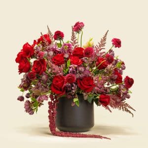February Flower Guide in Qatar: Colours, Moods & Meanings